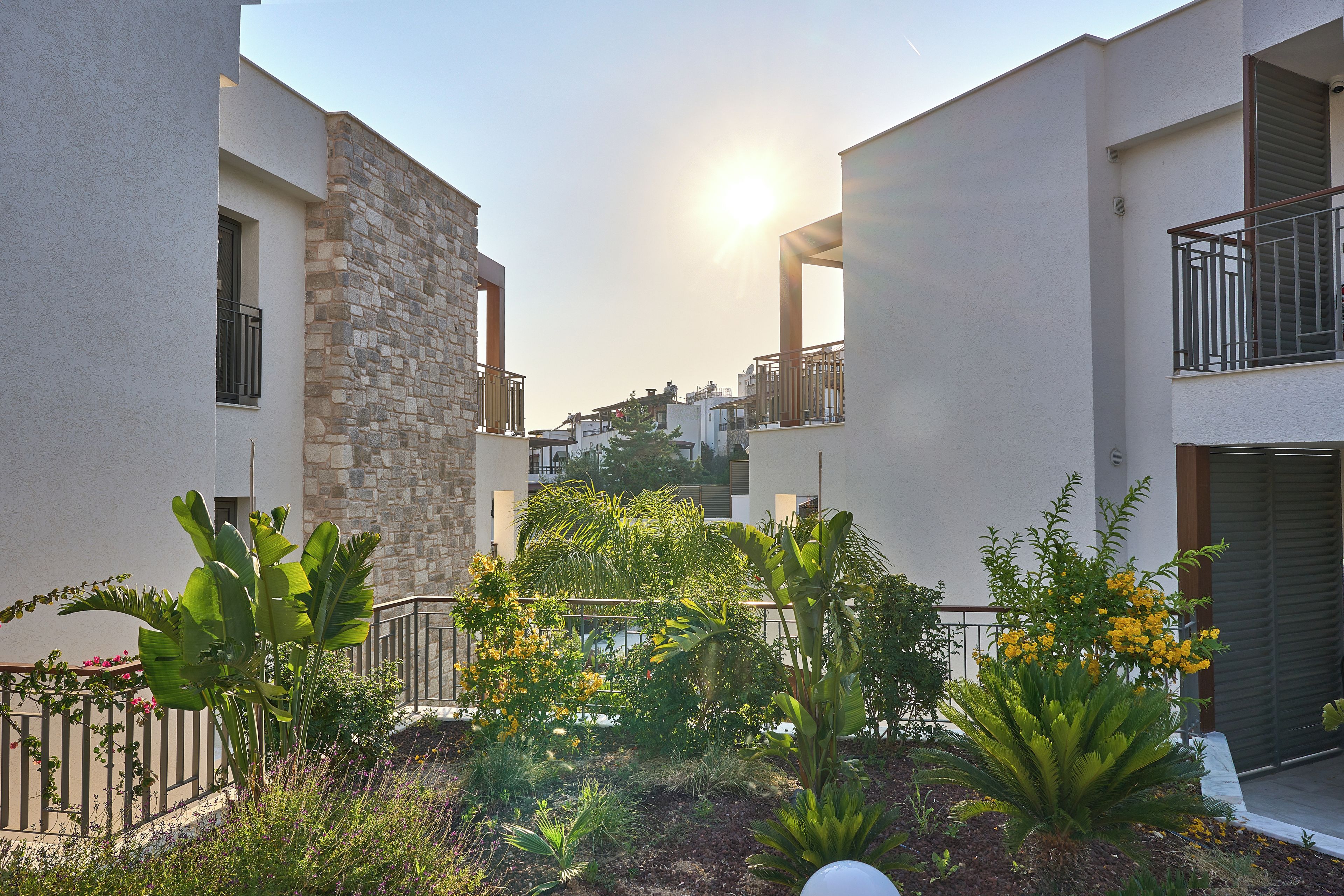 A courtyard with a stone wall, a metal fence, and various plants.