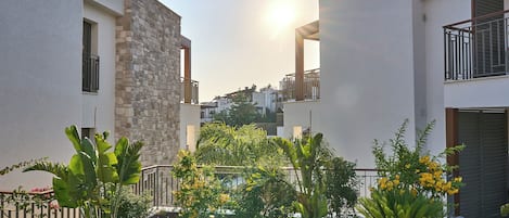 A courtyard with a stone wall, a metal fence, and various plants.