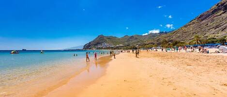 ハウス | 内装の詳細