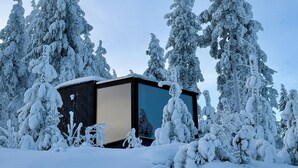 A modern cabin surrounded by snow-covered trees. - Arctic Lumo Resort (Kuusamo)
