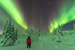 Paseos con raquetas de nieve