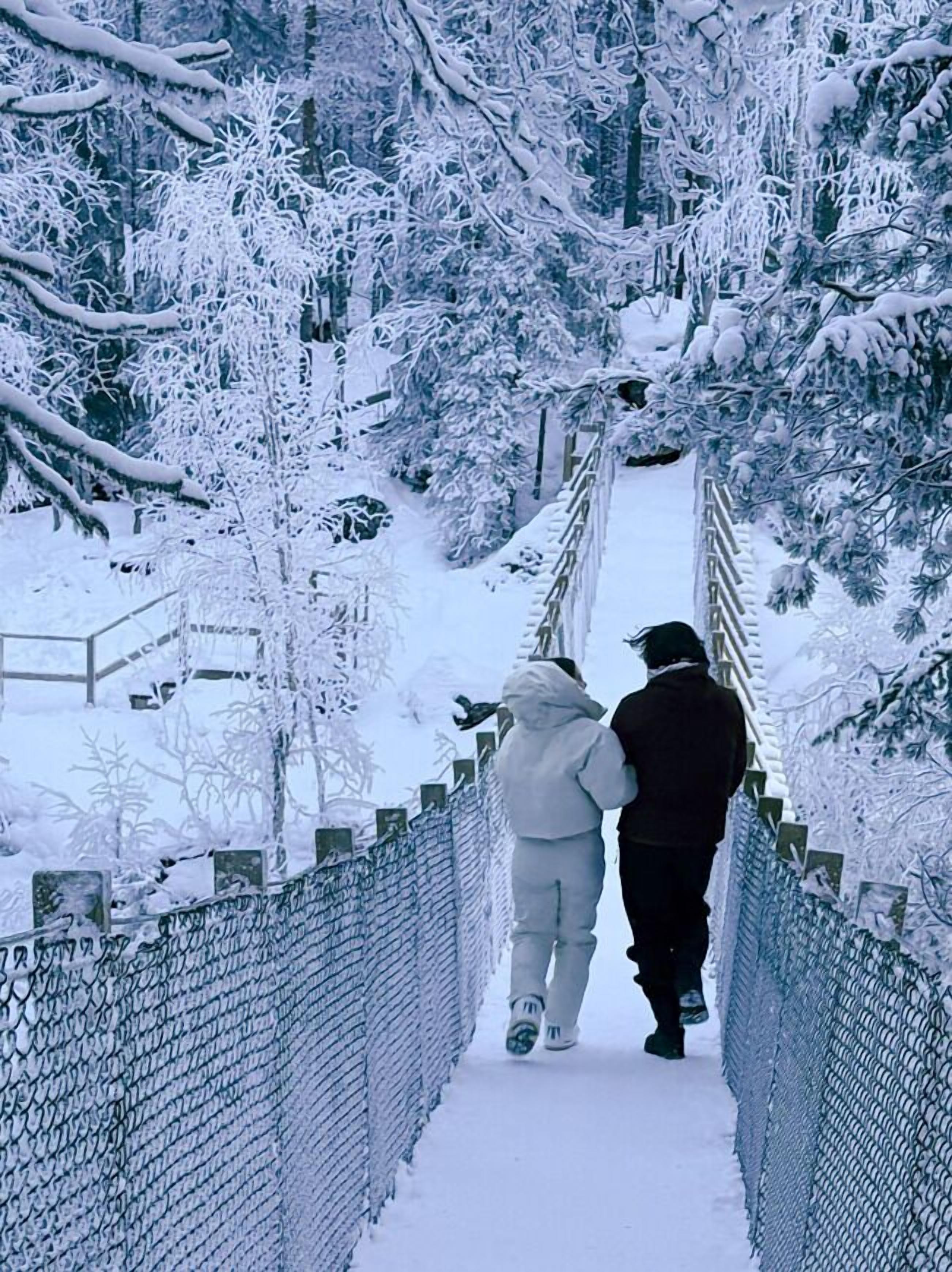 A snow-covered pedestrian bridge with chain-link fencing on both sides, surrounded by snow-laden trees.