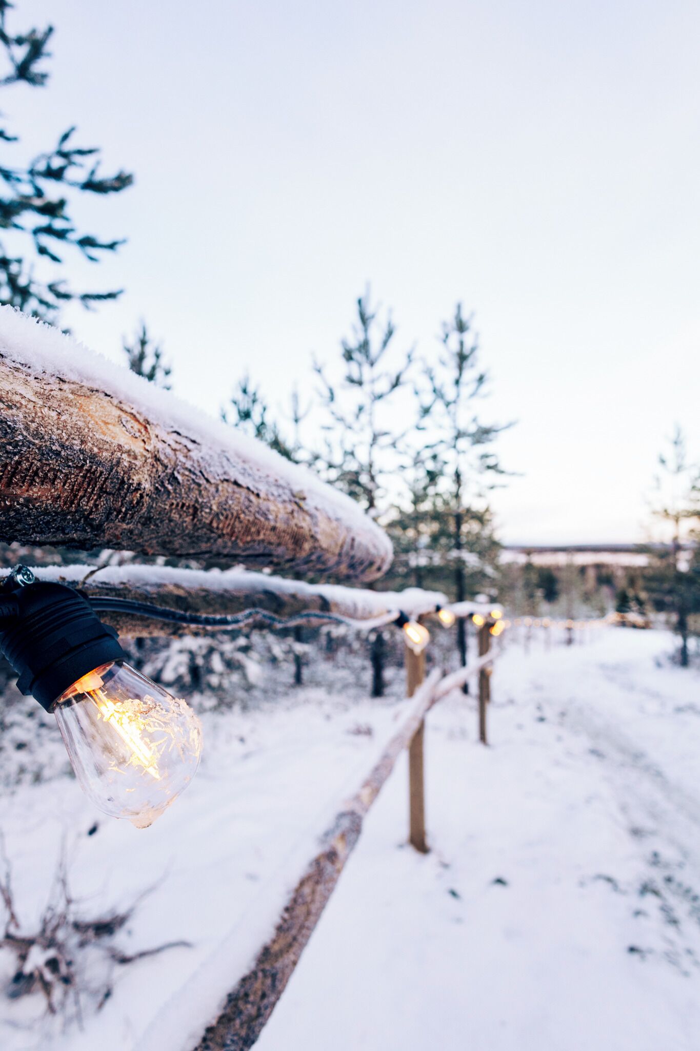 A snow-covered outdoor area with a wooden fence and string lights.