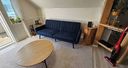 Room-large Room in a Unique Apartment, b