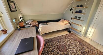 Room-large Room in a Unique Apartment, b