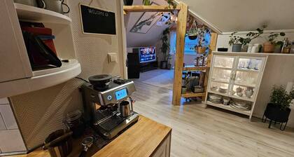 Room-large Room in a Unique Apartment, b