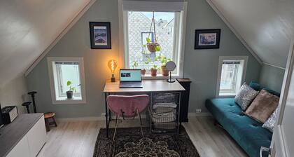 Room-large Room in a Unique Apartment, b