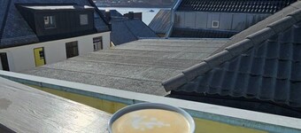 Room-large Room in a Unique Apartment, b