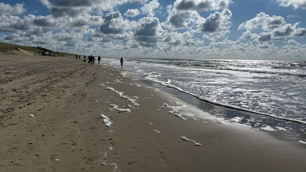 A beach with footprints and waves, a clear sky, and people walking. - Cozy vacation home in North Holland in a very quiet park, pure relaxation! (Dirkshorn)