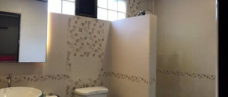 A bathroom with a white toilet, a vessel sink, and a shower.