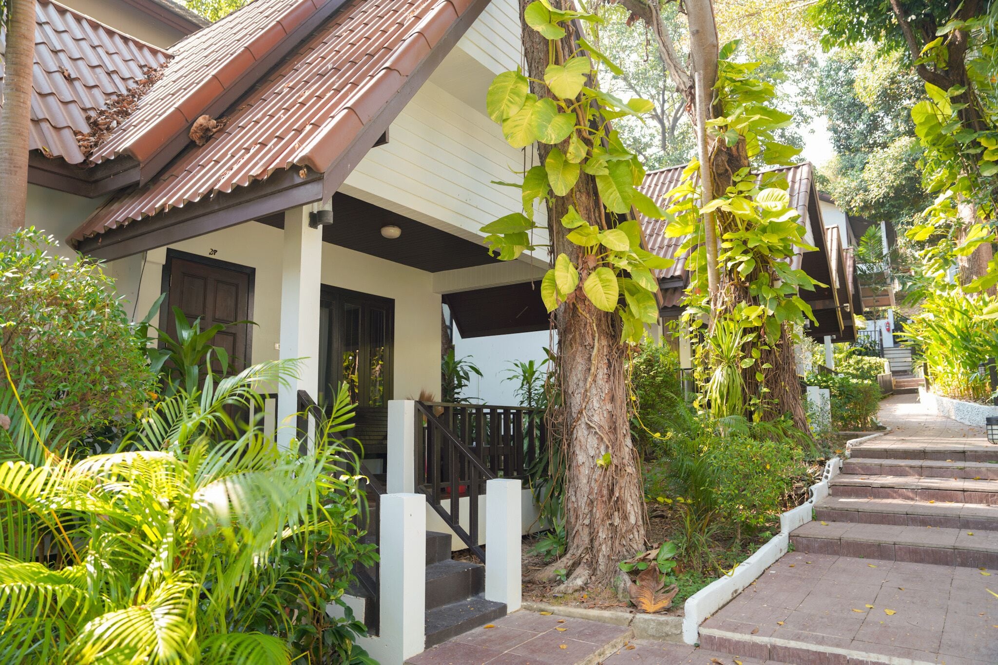 Standard Double Room | Terrace/patio