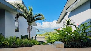 A modern building with a white exterior, a palm tree, and lush greenery.