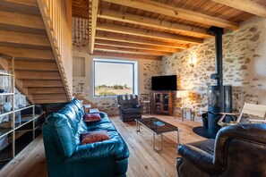 TV, table tennis - Villa 'Le Basque' in Bazas with Shared Pool, Private Terrace and Wi-Fi (Bazas)