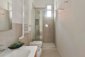 Shower, hair dryer, bidet, towels