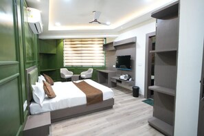 Luxury Single Room - hotel park amber (Hisar)
