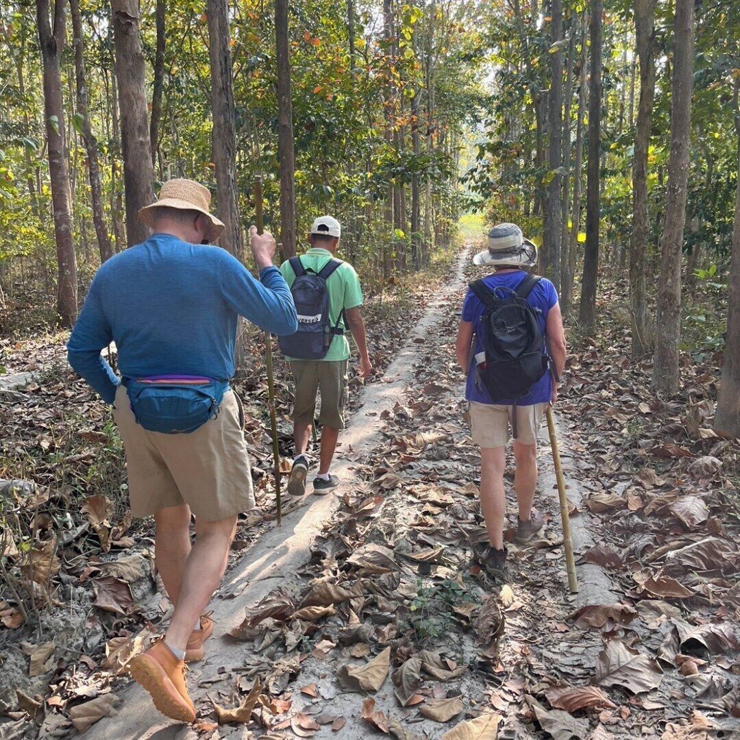 A forest trail with three hikers walking away from the camera.