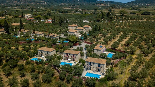 Vue aérienne d’un quartier résidentiel avec de nombreuses maisons, dont certaines sont dotées de piscines, entouré d’oliveraies et avec des collines en arrière-plan.