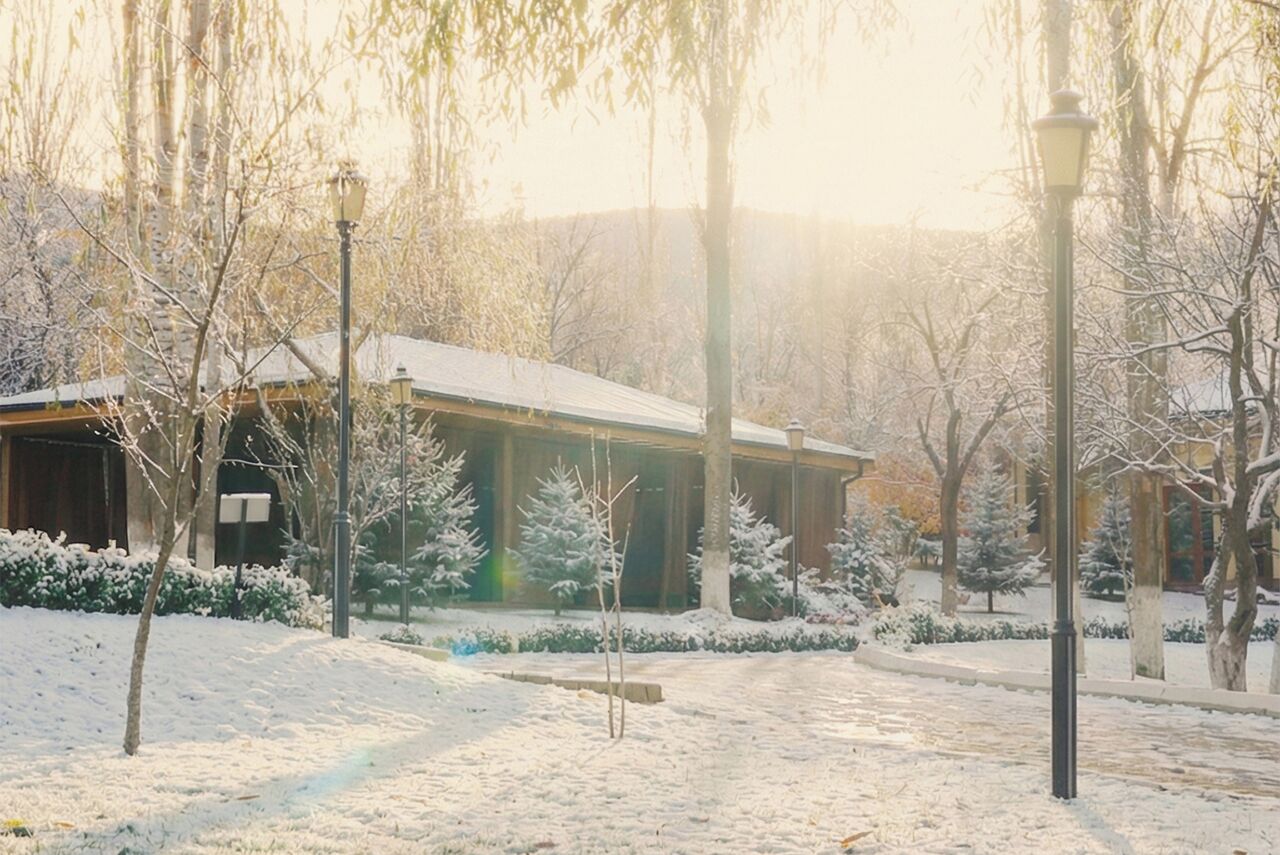 A snow-covered building with a wooden exterior, surrounded by snow-laden trees and a clear path leading to it.