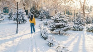 Un jardín cubierto de nieve con una persona caminando.