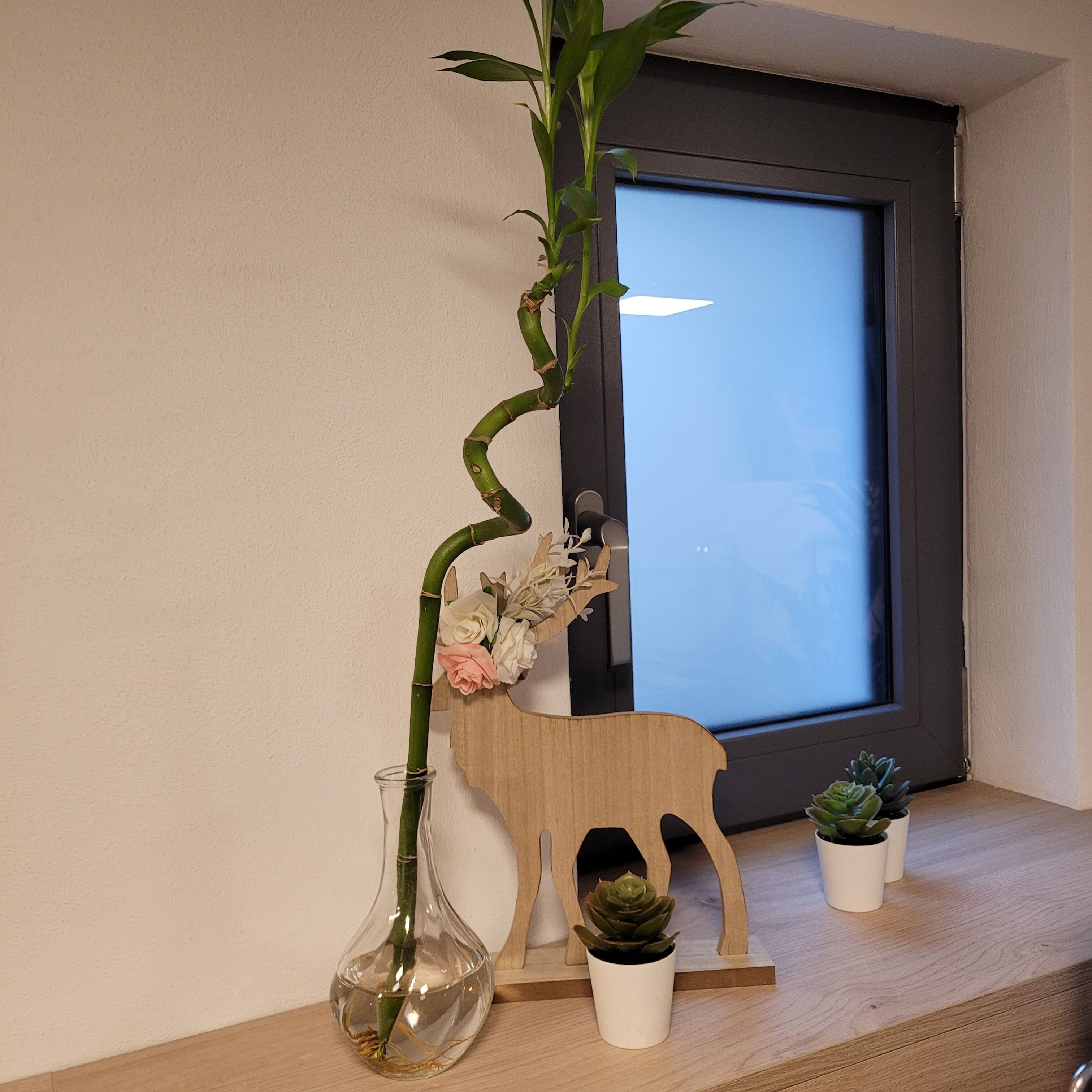 Een glazen vaas met een groene plant op een houten plank.