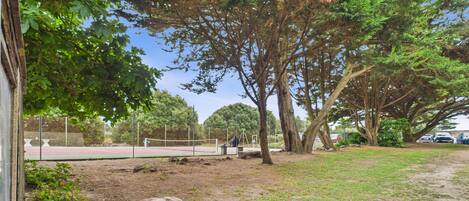 A tennis court with a net, surrounded by trees and a grassy area.