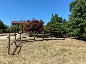 Property grounds - Charming Italian house in Cantarana for 6 guests, 3 bedrooms. (Piemonte)