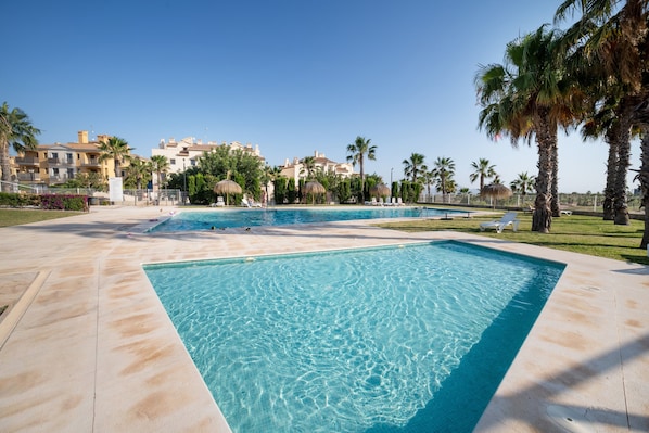 A swimming pool with clear water, surrounded by palm trees and lounge chairs, with buildings in the background.