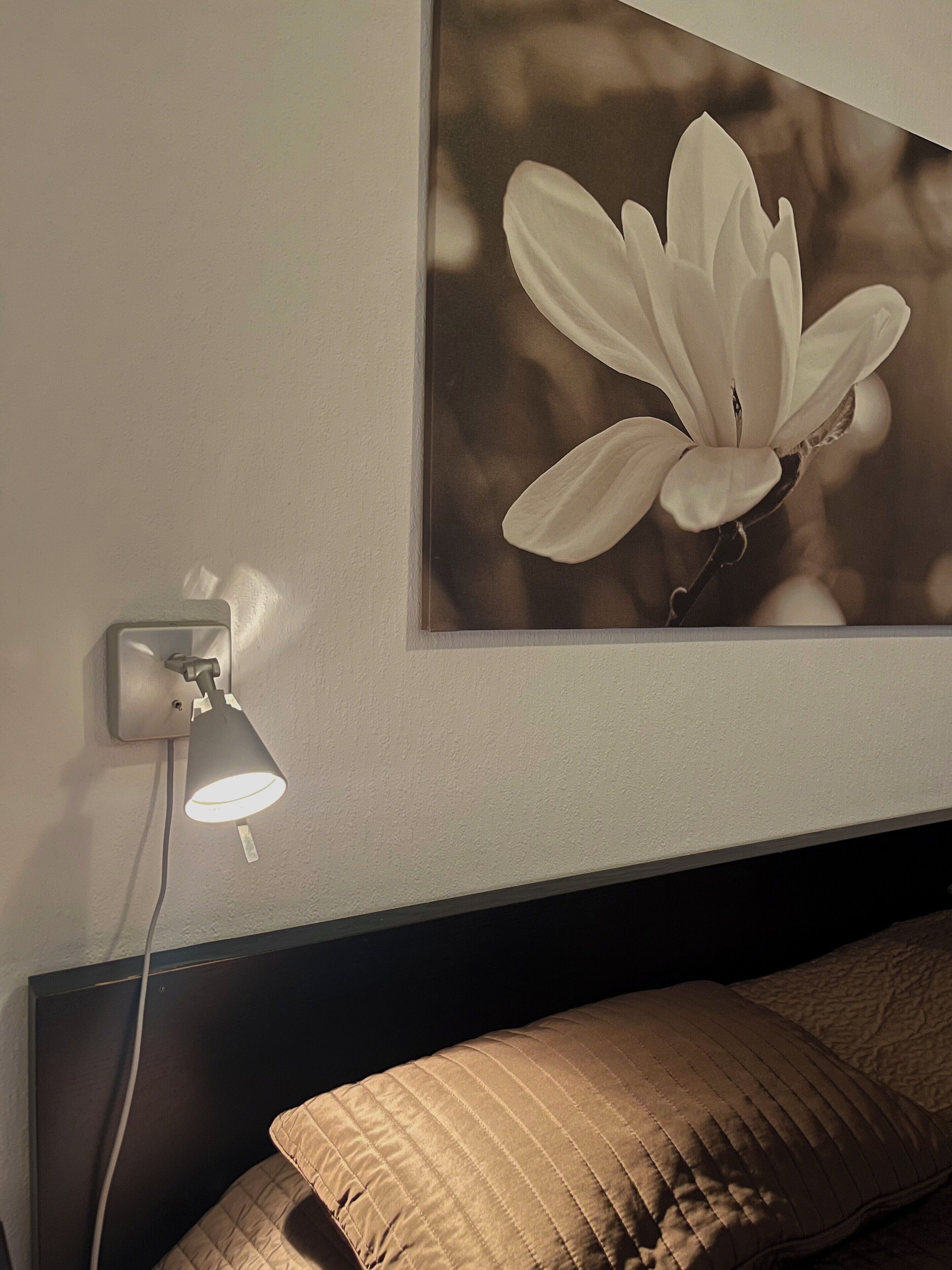 A wall-mounted lamp, a framed floral artwork, and a bed with a headboard.
