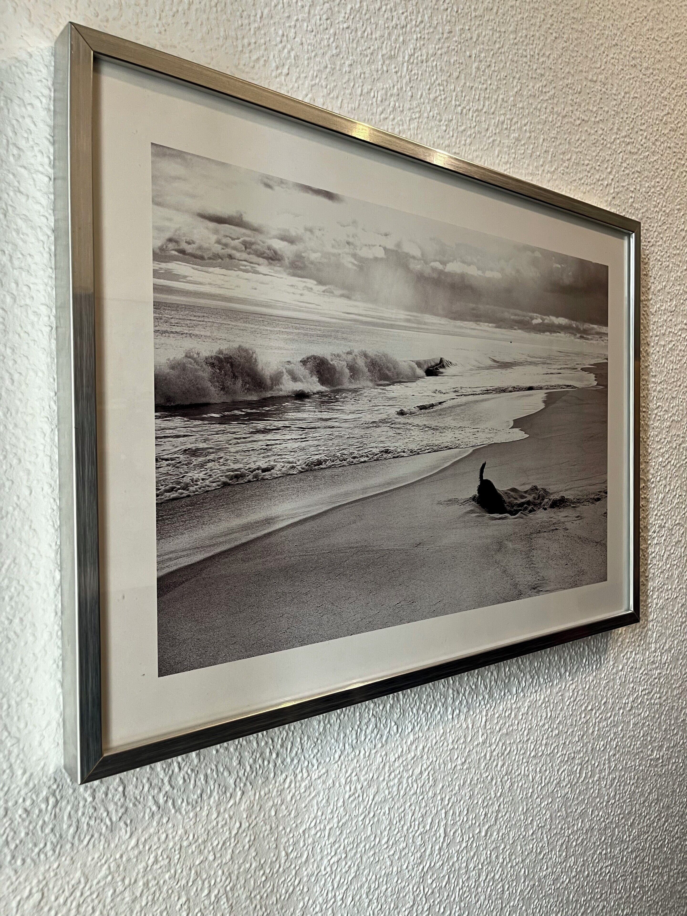 Fotografía blanco y negro enmarco, mostrando una playa con olas y un ave sobre la arena.