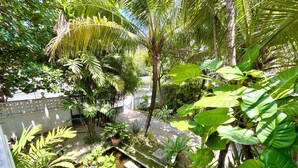 A lush garden with a variety of tropical plants, a small water feature, and a white fence.