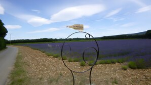 A signpost with 'La Pellegrine' and 'Cave Gustation' directions, a road, and a lavender field. - Winery Cottage on a Vineyard Estate, Pellerin (Montbrison sur Lez)