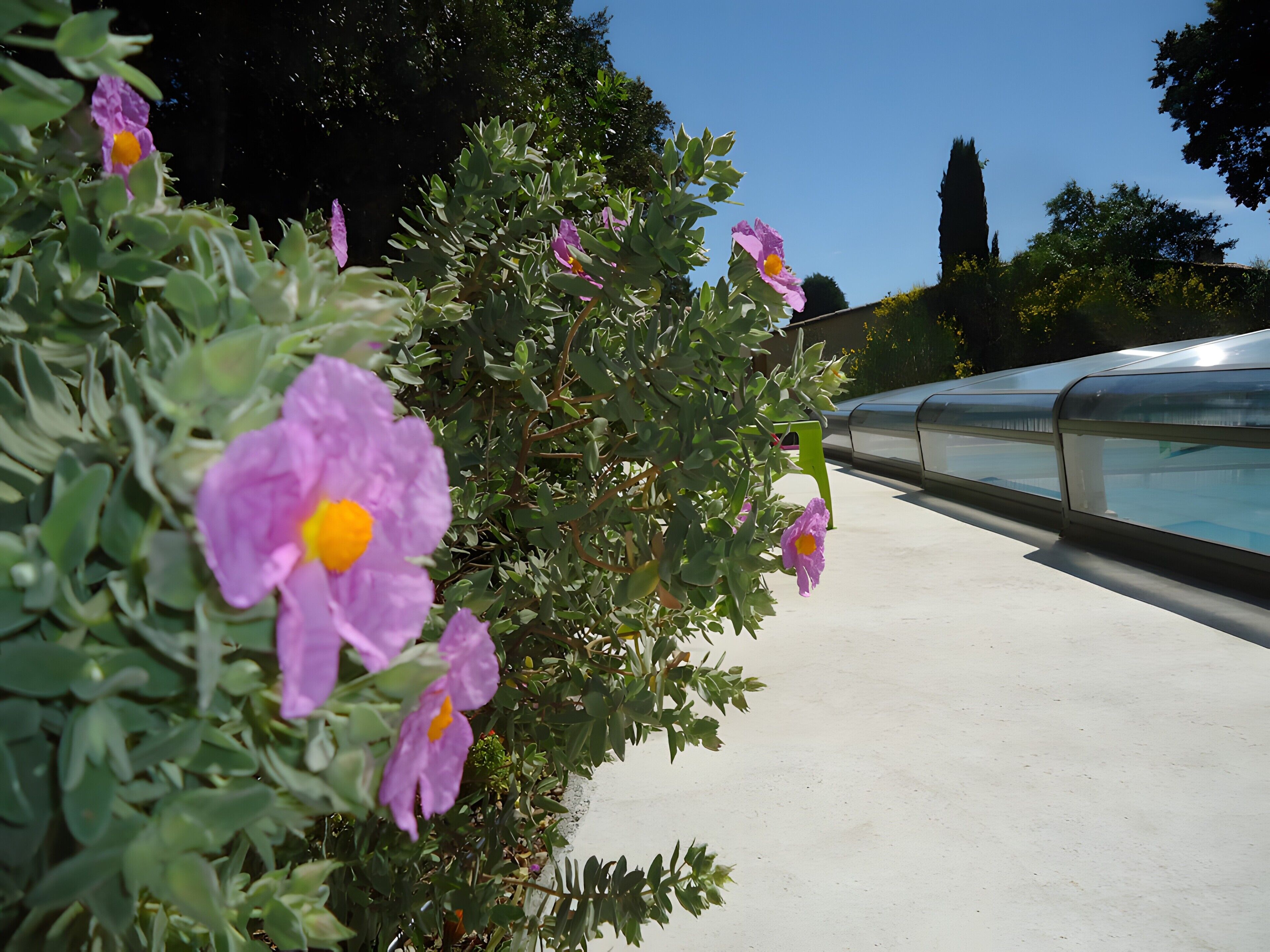 Parco della struttura