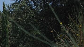 泳池