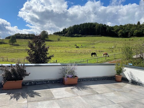 Vacation apartment with large roof terrace overlooking the greenery on the edge of the forest