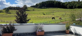 Vacation apartment with large roof terrace overlooking the greenery on the edge of the forest