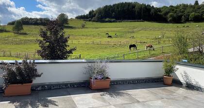 Vacation apartment with large roof terrace overlooking the greenery on the edge of the forest