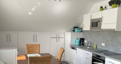 Vacation apartment with large roof terrace overlooking the greenery on the edge of the forest