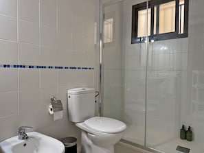 Shower, hair dryer, bidet, towels