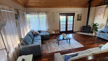 Smart TV, fireplace, books