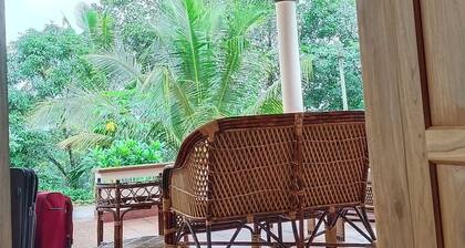 Mountain view Villa Idukki