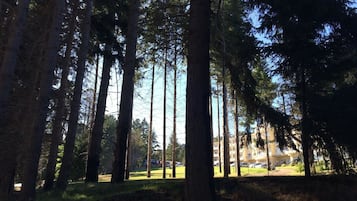 Jardines del alojamiento