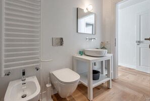 Shower, hair dryer, bidet, towels