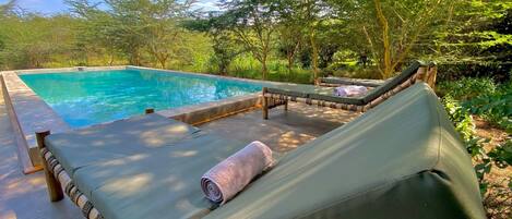 Piscine extérieure, parasols, chaises longues