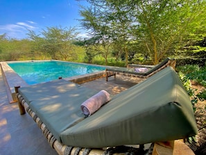 Outdoor pool, pool umbrellas, pool loungers