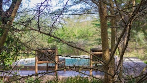 A natural setting with trees and a wooden structure in the background. - Moonbow Lodge (Lake Manyara National Park)