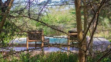 Una piscina al aire libre, sombrillas, sillones reclinables de piscina
