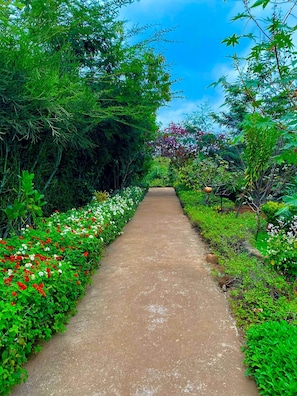 Vista para o jardim