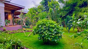 Phòng đôi Deluxe, ban công | Quang cảnh vườn