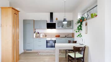 Fridge, oven, stovetop, dishwasher