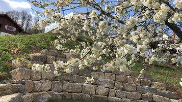 Jardines del alojamiento
